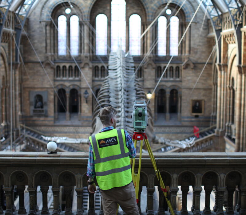 Natural History Museum Whale IMG 9945